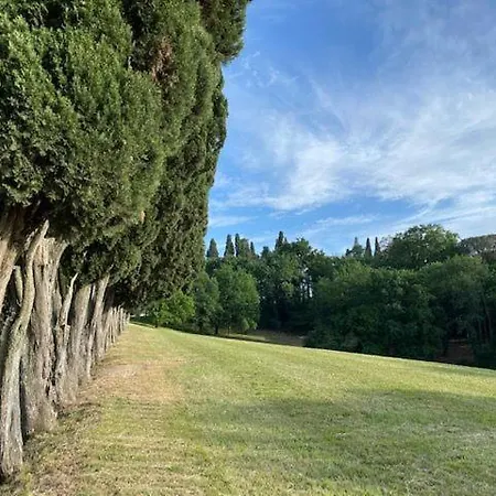 Slow Living In The Heart Of Tuscan History Appartamento